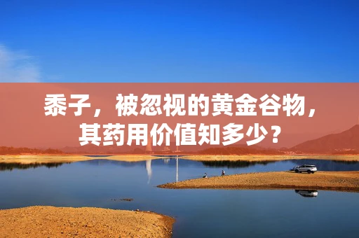 黍子，被忽视的黄金谷物，其药用价值知多少？