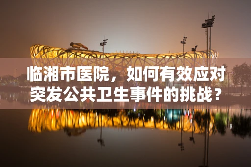 临湘市医院，如何有效应对突发公共卫生事件的挑战？
