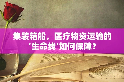 集装箱船，医疗物资运输的‘生命线’如何保障？