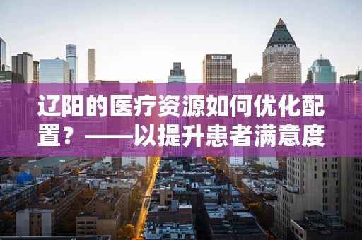 辽阳的医疗资源如何优化配置？——以提升患者满意度为核心
