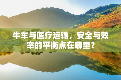 牛车与医疗运输，安全与效率的平衡点在哪里？