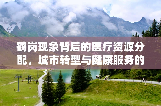 鹤岗现象背后的医疗资源分配，城市转型与健康服务的挑战