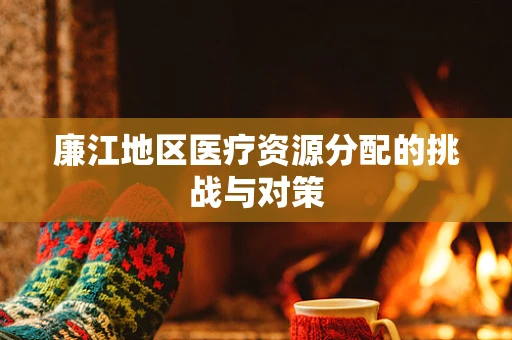 廉江地区医疗资源分配的挑战与对策