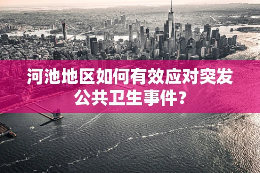 河池地区如何有效应对突发公共卫生事件？
