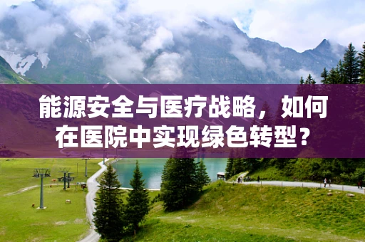 能源安全与医疗战略，如何在医院中实现绿色转型？