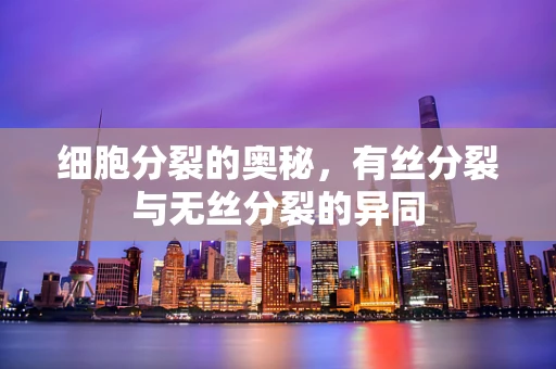细胞分裂的奥秘，有丝分裂与无丝分裂的异同