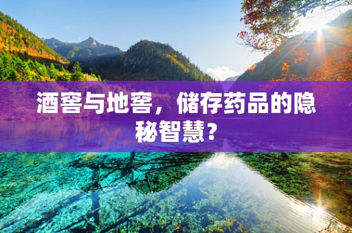 酒窖与地窖，储存药品的隐秘智慧？
