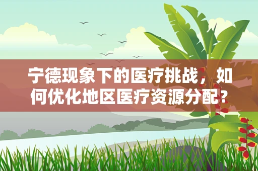 宁德现象下的医疗挑战，如何优化地区医疗资源分配？