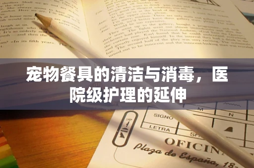 宠物餐具的清洁与消毒，医院级护理的延伸