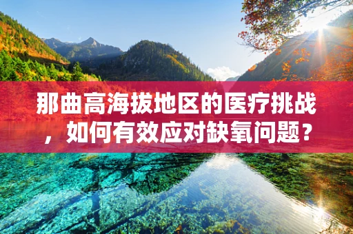 那曲高海拔地区的医疗挑战，如何有效应对缺氧问题？