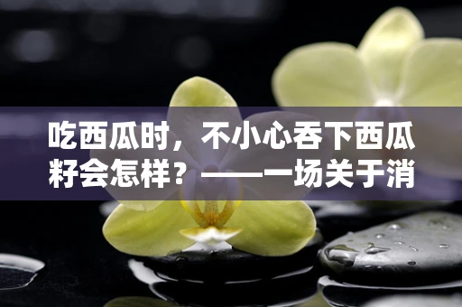吃西瓜时，不小心吞下西瓜籽会怎样？——一场关于消化的奇妙旅程