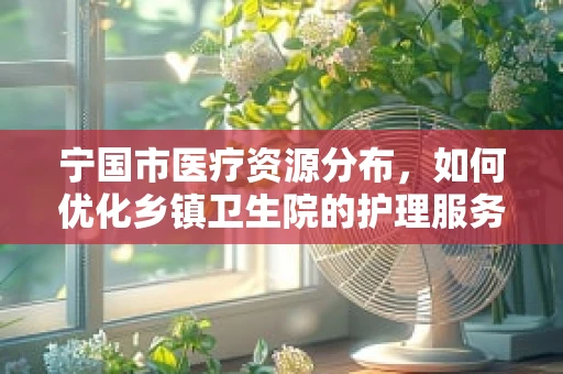 宁国市医疗资源分布，如何优化乡镇卫生院的护理服务？