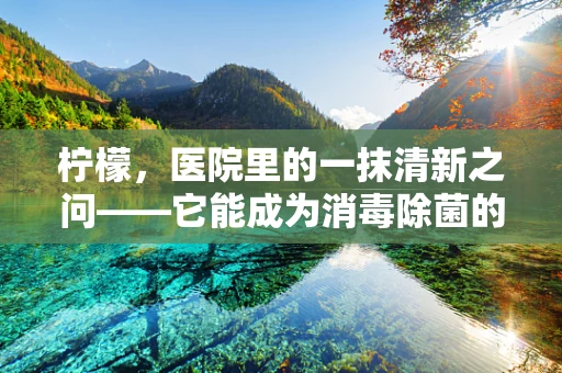 柠檬，医院里的一抹清新之问——它能成为消毒除菌的天然助手吗？