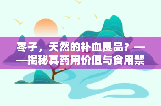 枣子，天然的补血良品？——揭秘其药用价值与食用禁忌