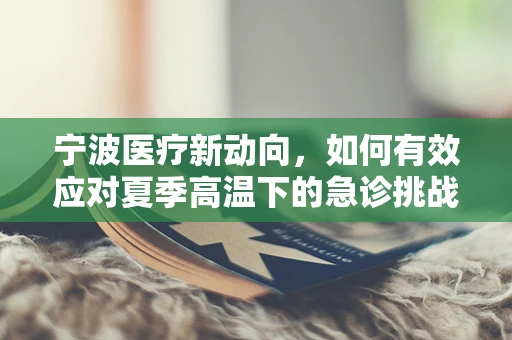 宁波医疗新动向，如何有效应对夏季高温下的急诊挑战？
