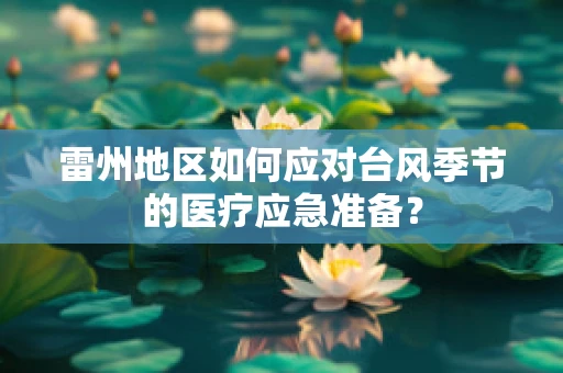雷州地区如何应对台风季节的医疗应急准备？