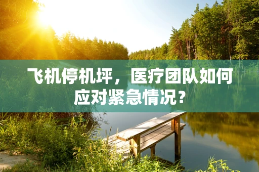 飞机停机坪，医疗团队如何应对紧急情况？