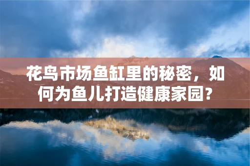 花鸟市场鱼缸里的秘密，如何为鱼儿打造健康家园？