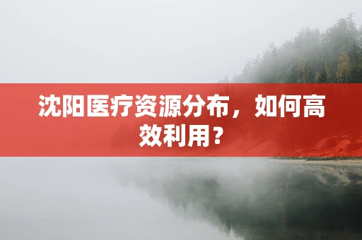 沈阳医疗资源分布，如何高效利用？