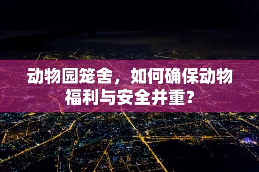 动物园笼舍，如何确保动物福利与安全并重？
