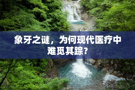 象牙之谜，为何现代医疗中难觅其踪？