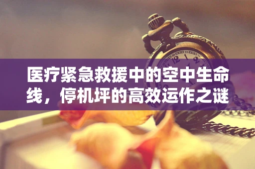 医疗紧急救援中的空中生命线，停机坪的高效运作之谜