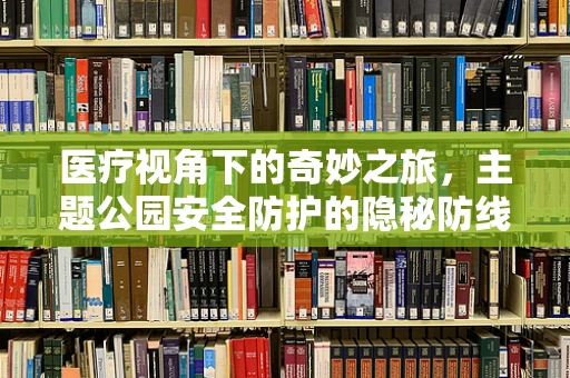 医疗视角下的奇妙之旅，主题公园安全防护的隐秘防线