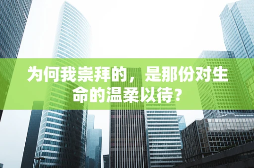 为何我崇拜的，是那份对生命的温柔以待？