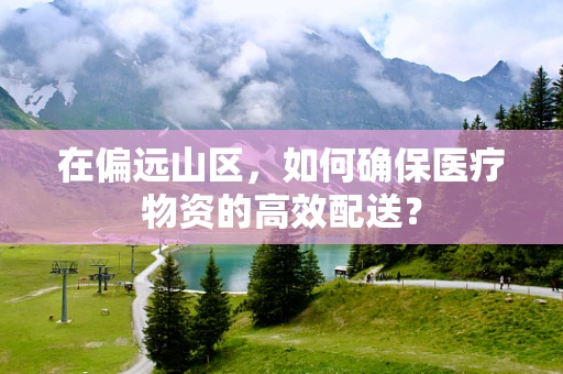 在偏远山区，如何确保医疗物资的高效配送？