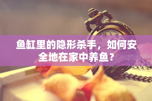 鱼缸里的隐形杀手，如何安全地在家中养鱼？