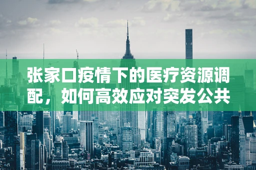 张家口疫情下的医疗资源调配，如何高效应对突发公共卫生事件？