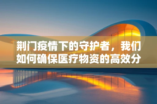 荆门疫情下的守护者，我们如何确保医疗物资的高效分配？