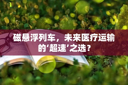 磁悬浮列车，未来医疗运输的‘超速’之选？