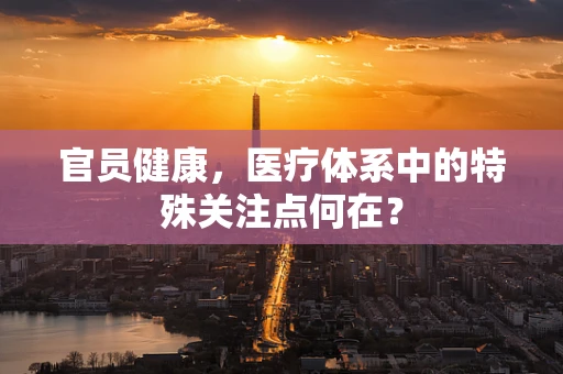 官员健康，医疗体系中的特殊关注点何在？