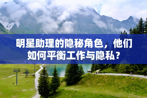 明星助理的隐秘角色，他们如何平衡工作与隐私？