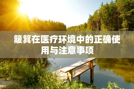 簸箕在医疗环境中的正确使用与注意事项