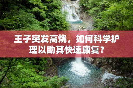 王子突发高烧，如何科学护理以助其快速康复？