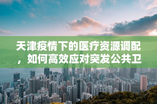 天津疫情下的医疗资源调配，如何高效应对突发公共卫生事件？