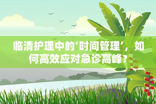 临清护理中的‘时间管理’，如何高效应对急诊高峰？
