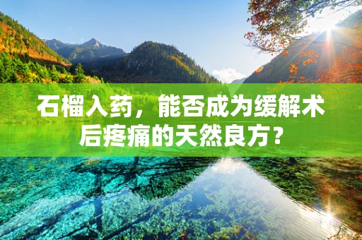 石榴入药，能否成为缓解术后疼痛的天然良方？