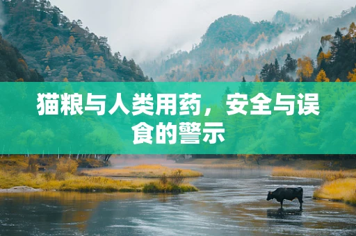 猫粮与人类用药，安全与误食的警示