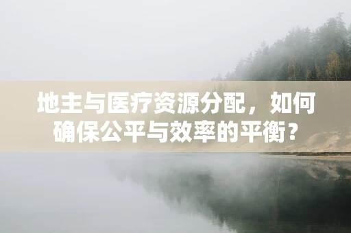 地主与医疗资源分配，如何确保公平与效率的平衡？