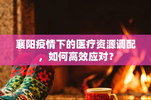 襄阳疫情下的医疗资源调配，如何高效应对？