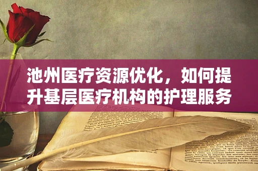 池州医疗资源优化，如何提升基层医疗机构的护理服务质量？