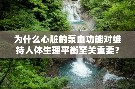 为什么心脏的泵血功能对维持人体生理平衡至关重要？