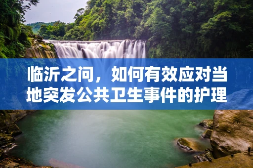 临沂之问，如何有效应对当地突发公共卫生事件的护理挑战？