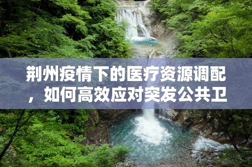 荆州疫情下的医疗资源调配，如何高效应对突发公共卫生事件？