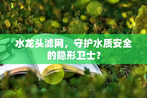 水龙头滤网，守护水质安全的隐形卫士？