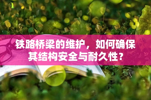 铁路桥梁的维护，如何确保其结构安全与耐久性？