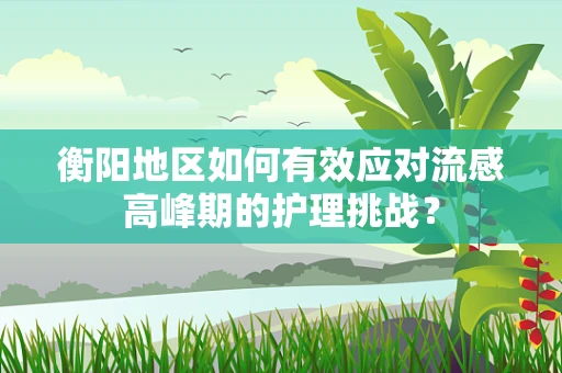 衡阳地区如何有效应对流感高峰期的护理挑战？